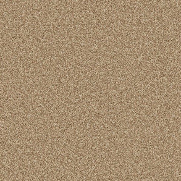 Cormar Carpets Apollo Plus Stepping Stone *Special Offer*