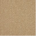 Cormar Carpets Inglewood Saxony